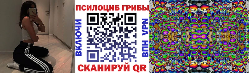 как найти наркотики  Макарьев  Галлюциногенные грибы Magic Shrooms 
